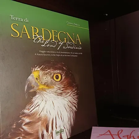 Orange Sunset, Seaview & Front *