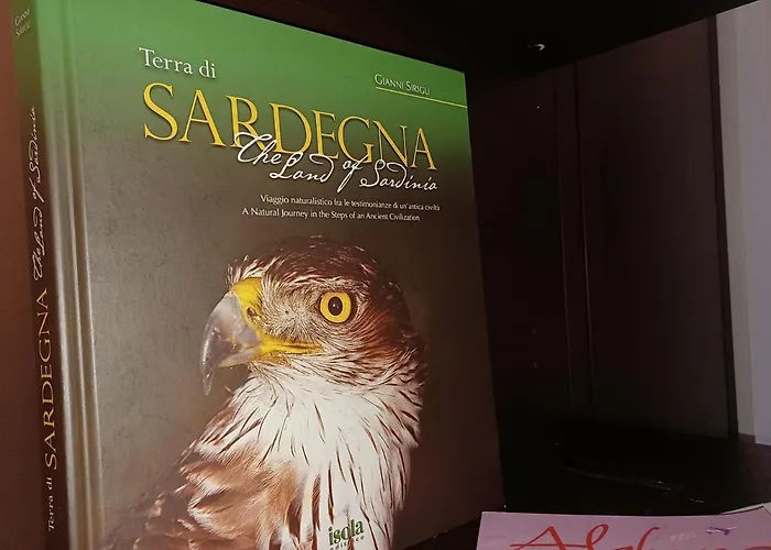 Orange Sunset, Seaview & Front *